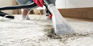 homeclean01 homeclean01