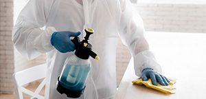 homeclean03 homeclean03